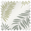 Canopy, Mid Green - Roller Blind